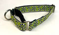 Green with Black and White Swirls Martingale Collar 1in