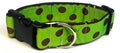 Lime Green with Brown Dots Dog Collar 1 1/2 in