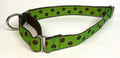 Green with Brown Dots Martingale Collar 1in