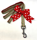 Green with Peppermint Candy Dog Leash 3/4