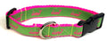 Green with Pink Whales Dog Collar 1in