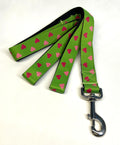 Green with Pink and Light Pink Hearts Dog Leash 1in