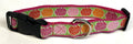 Green with Pink, Light Pink, Orange and Red Flowers Dog Collar 1in