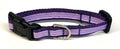 Lavender Stripe Dog Collar 1/2
