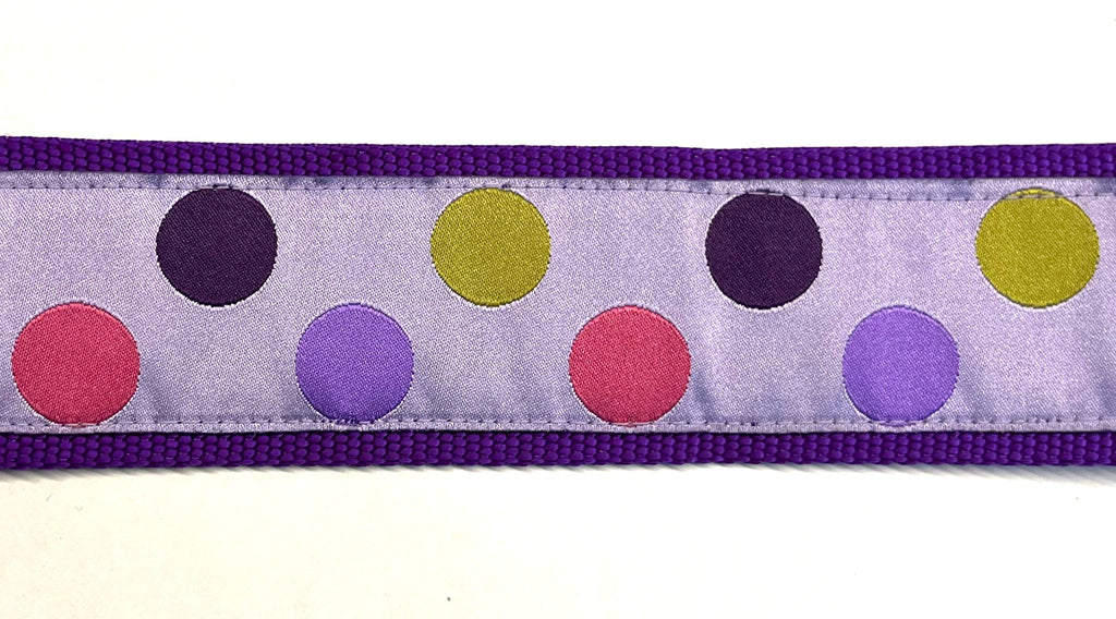 Lavender with Pink, Purple, Lavender, and Green Dots Dog Collar 2in
