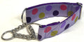 Lavender with Pink, Green, Purple, and Lavender Dots Chain Martingale Collar 1 1/2 in