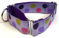 Lavender with Pink, Green, Purple, and Lavender Dots Martingale Collar 1 1/2 in