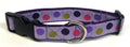 Lavender with Pink, Green, Purple, & Lavender Dots Dog Collar 1in
