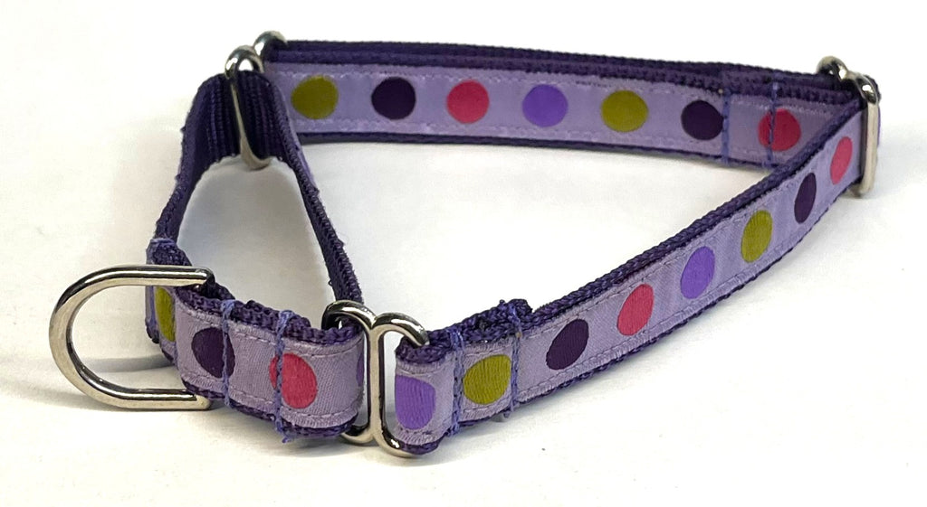 Lavender with Pink, Green, Purple, & Lavender Dots Martingale Collar 3/4