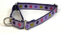 Lavender with Pink, Green, Purple, & Lavender Dots Martingale Collar 3/4