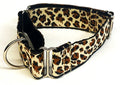 Leopard Print Martingale Collar 1 1/2 in