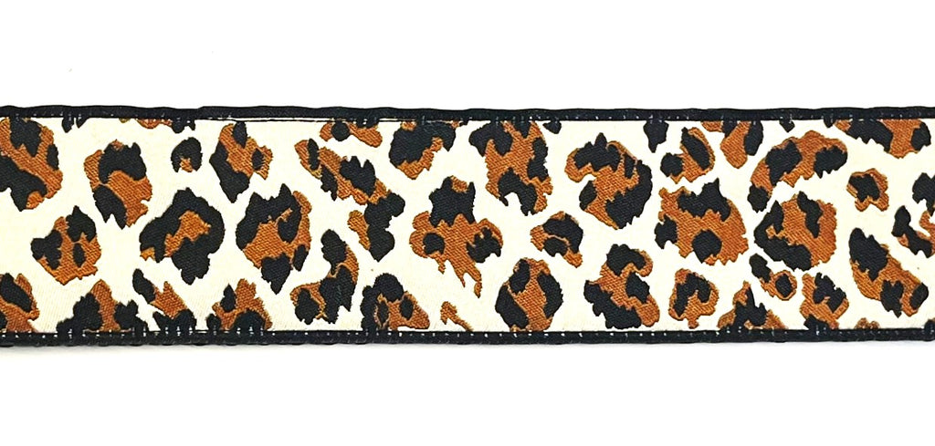 Leopard print dog collar 1.5 inch on black webbing