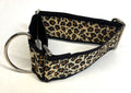 Leopard Print Martingale Collar 2in
