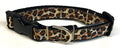 Leopard Print Dog Collar 3/4