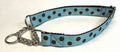 Light Blue with Brown Dots Chain Martingale Collar 1in