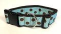 Light Blue with Brown Dots Dog Collar 2in