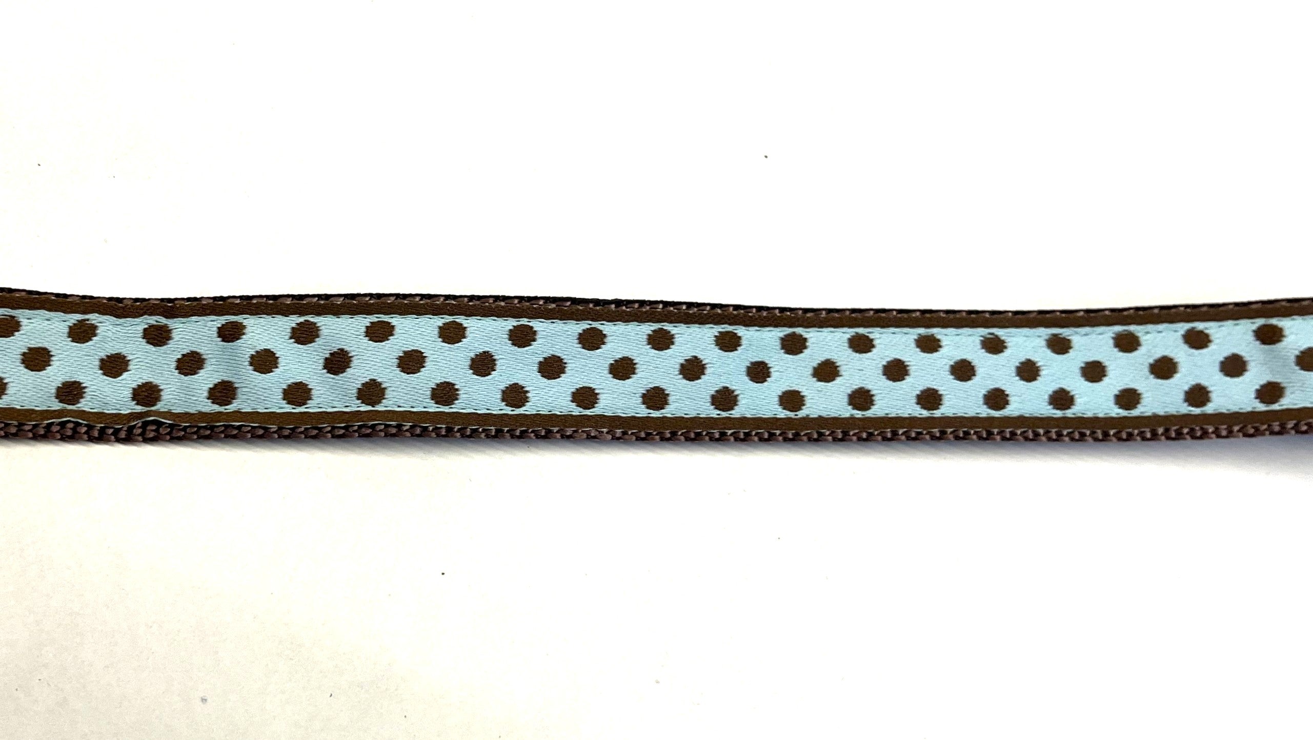 Light Blue with Brown Polka Dots Dog Collar 3/4