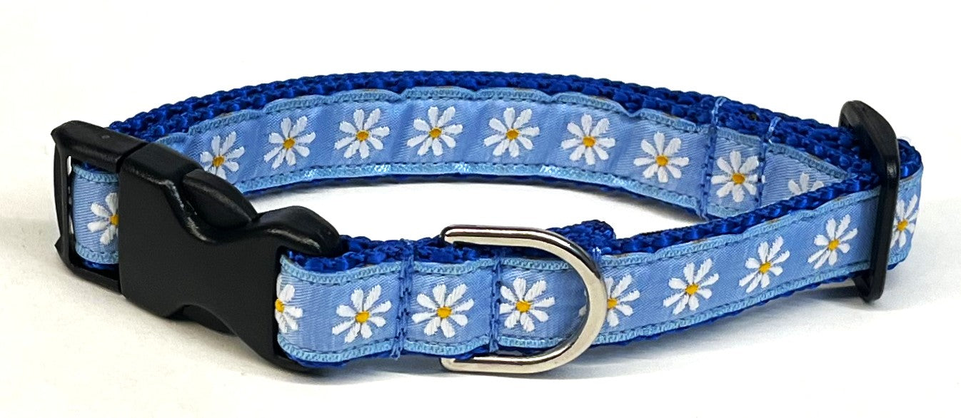 Light Blue with Daisies Dog Collar 3/4