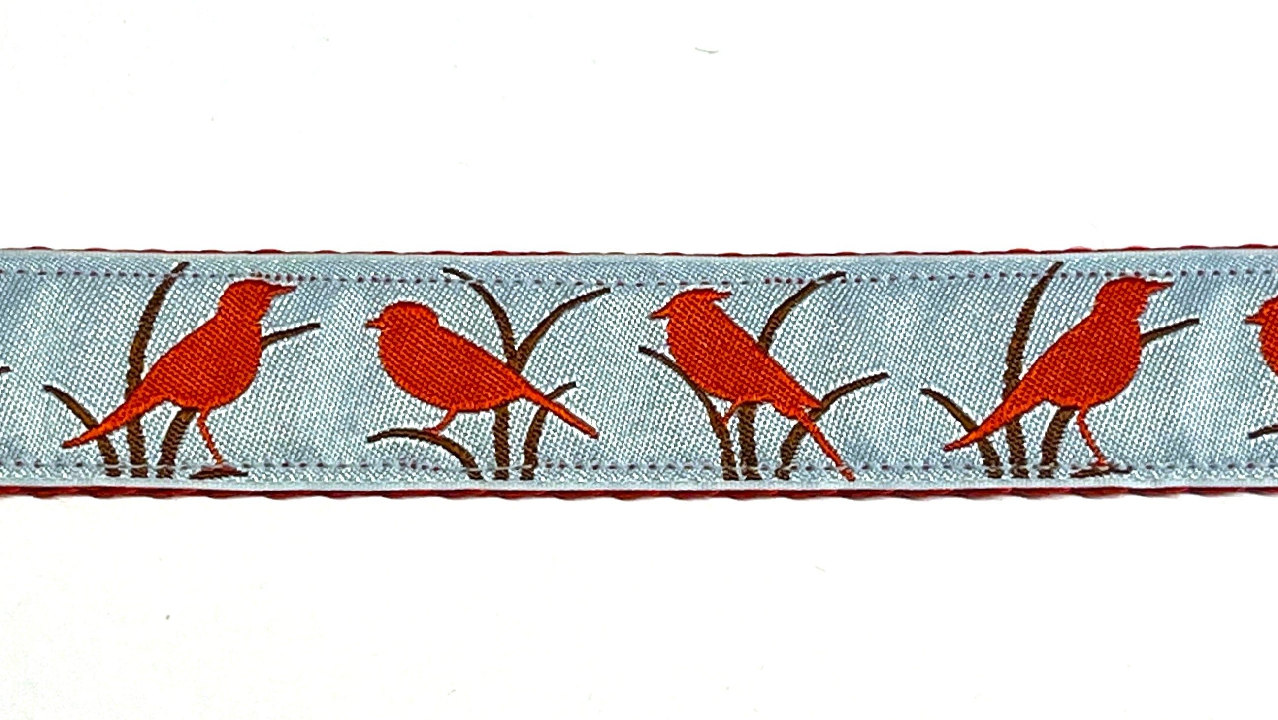 Light Blue with Red Birds Dog Leash 1in