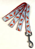 Light Blue with Red Birds Dog Leash 1in
