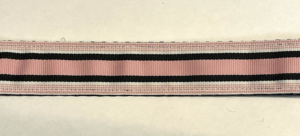 Light Pink, White, and Black Stripe Dog Leash 1in