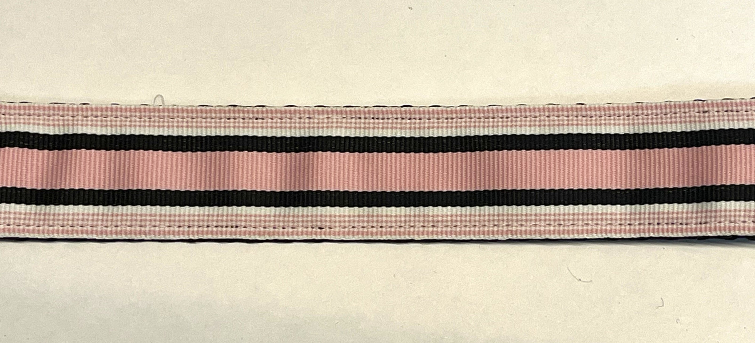 Light Pink, White, and Black Stripe Dog Leash 1in
