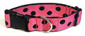 Light Pink with Black Dots Dog Collar 1 1/2 in