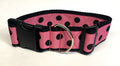 Pink with Black Dots Dog Collar 2in