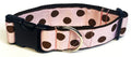 Light Pink with Brown Dots Dog Collar 1 1/2 in