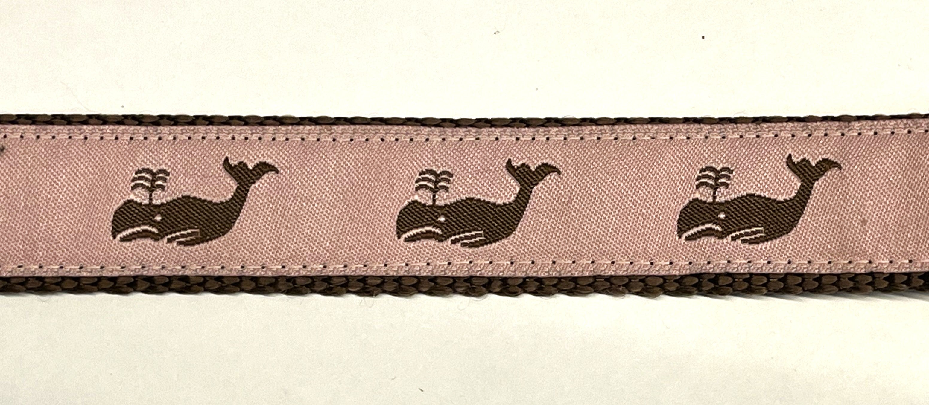 Light Pink with Brown Whales Dog Leash 1in