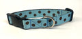 Light Blue with Brown Dots Dog Collar 1in