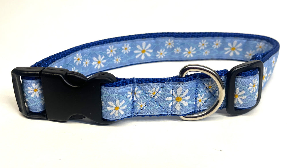 Light Blue with Daisies Dog Collar 1in