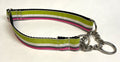 Lime Green, White, Black, and Pink Stripes Chain Martingale Collar 1in