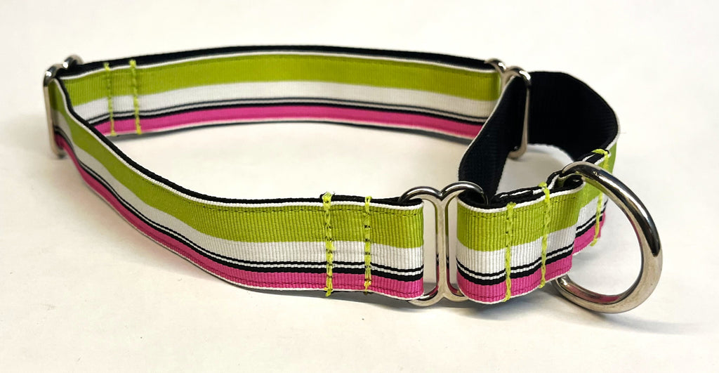 Lime Green, White, Black, and Pink Stripes Martingale Collar 1in
