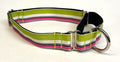 Lime Green, White, Black, and Pink Stripes Martingale Collar 1in