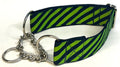 Lime Green and Navy Diagonal Stripe Chain Martingale Collar 1 1/2 in