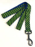 Lime Green and Navy Diagonal Stripe Dog Leash 1in