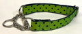 Lime Green with Navy Polka Dots Chain Martingale Collar 1in