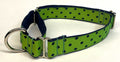 Lime Green with Navy Polka Dots Martingale Collar 1in