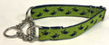 Lime Green with Navy Turtles Chain Martingale Collar 1in