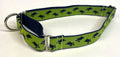 Lime Green with Navy Turtles Martingale Collar 1in