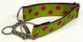 Lime Green with Pink Dots Chain Martingale Collar 1 1/2 in