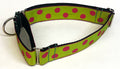 Lime Green with Pink Dots Martingale Collar 1 1/2 in