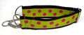 Lime Green with Pink Dots Chain Martingale Collar 2in
