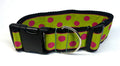 Lime Green with Pink Dots Dog Collar 2in