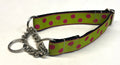 Lime Green with Pink Dots Chain Martingale Collar 1in