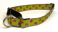 Lime Green with Pink Dots Martingale Collar 1in