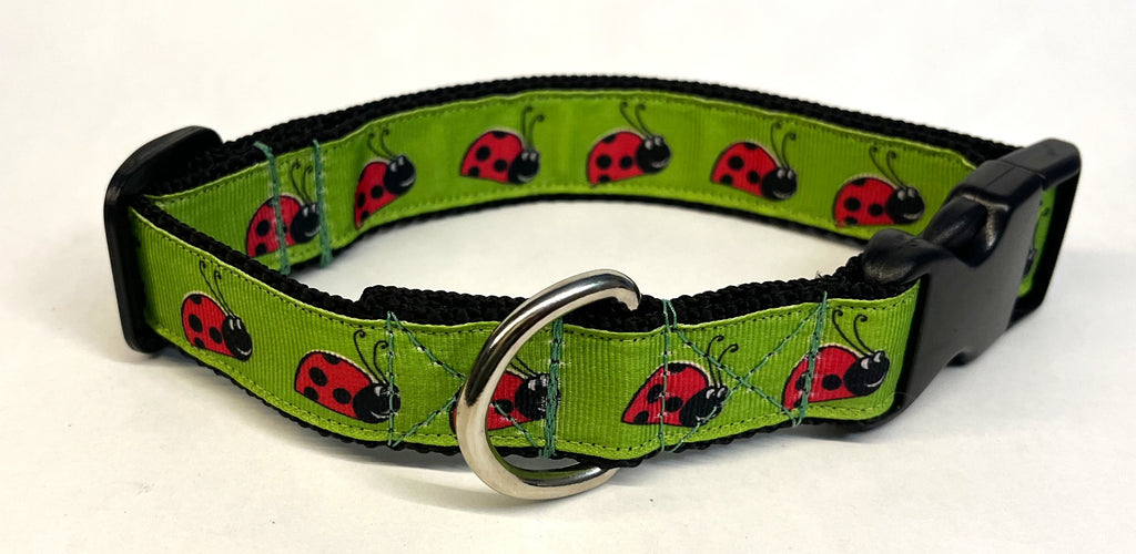 Lime Green with Pink Ladybugs Dog Collar 1in