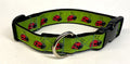 Lime Green with Pink Ladybugs Dog Collar 1in