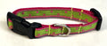 Lime Green with Pink Square Dots Dog Collar 1/2